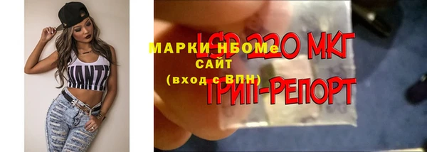 стаф Бронницы