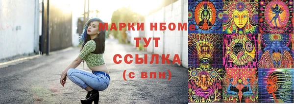 стаф Бронницы