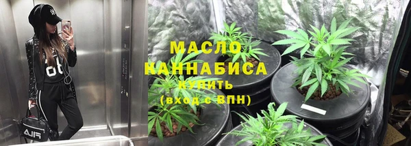 дживик Богородицк