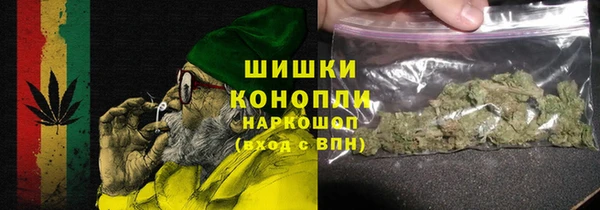 стаф Бронницы