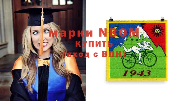 стаф Бронницы